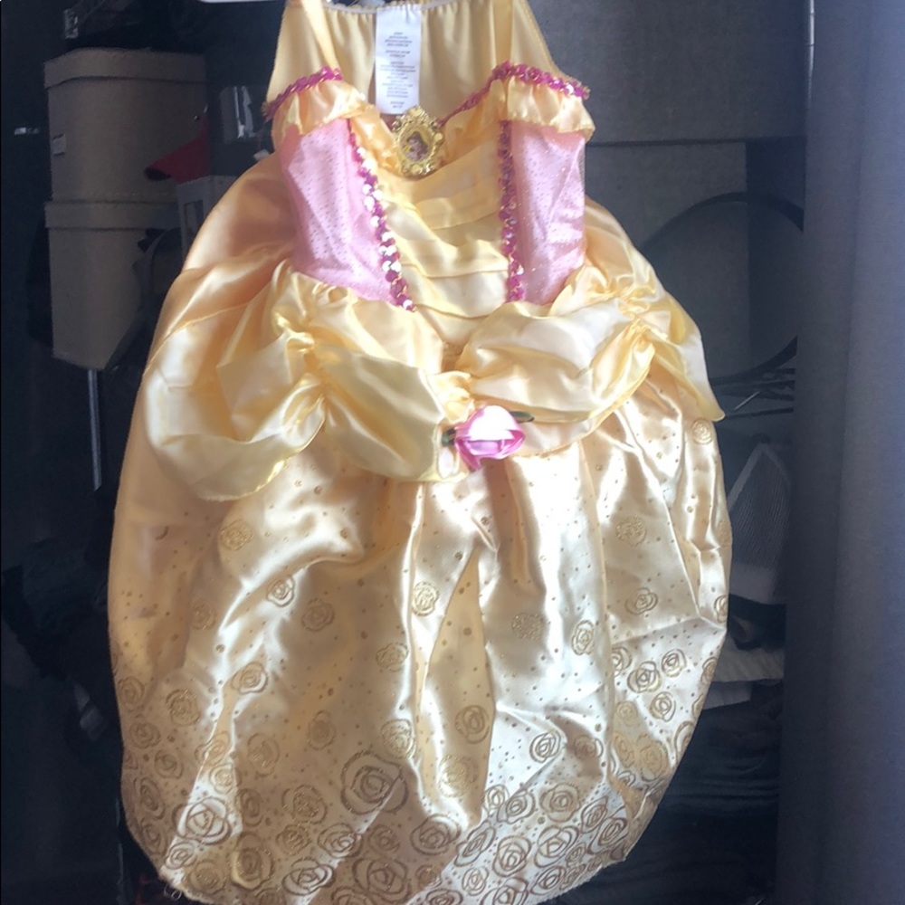 Belle costume Priced to sell.